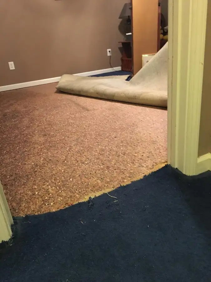 Carpet pad removal revealing water damage during Drying & Dehumidification in Croton-on-Hudson